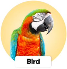 petcartel birds products
