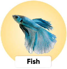petcartel fish products