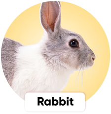 petcartel rabbit products